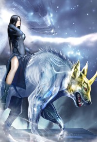 妃在上：王爷请赐教